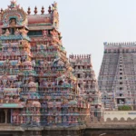  New Panel Explores Tamil Identity in Canada